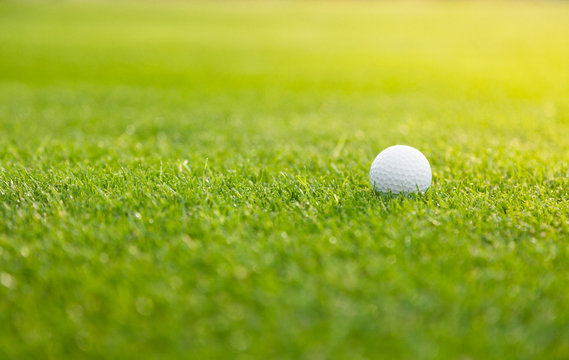 Golf ball on the green lawn
