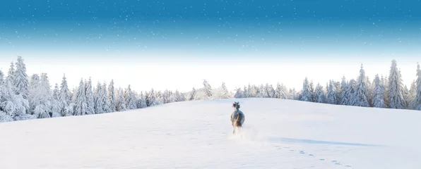 Fototapeten Weißes Pferd läuft in Winterlandschaft © Jag_cz
