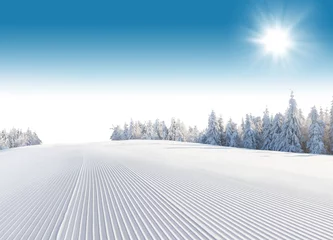 Photo sur Plexiglas Hiver Winter snowy landscape