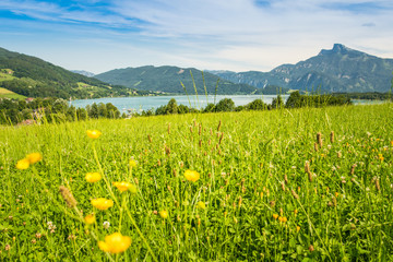 Mondsee Oberösterreich