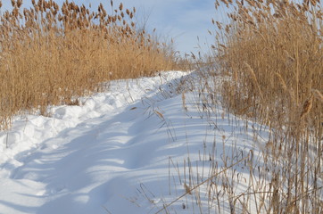 Спуск к речке © chipigo