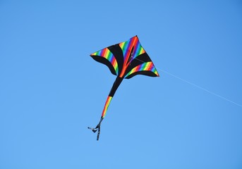 Kite on the sky
