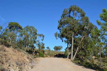 Collines d'Esterel