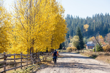 Fototapeta premium Mountain biker in autumn forest