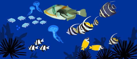 Obraz premium background with marine tropical fish