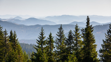 Beautiful Carpathian mountains in autumn