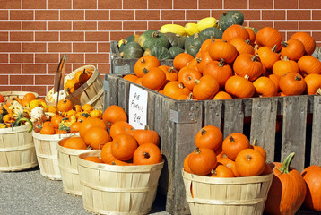 Pumpkins And Gourds For Sale at an outdoor Farmer's Market
