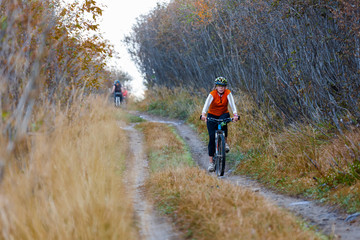 Mountain biker in autumn forest