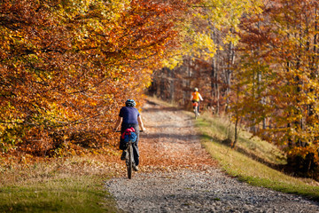 Fototapeta premium Mountain biker in autumn forest