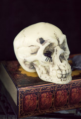 Skull with witch's spell books for halloween 