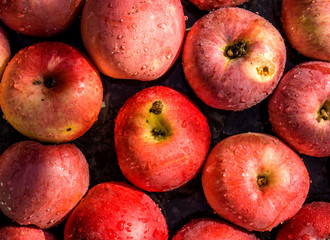 Vivid freshly picked red apples close up background with contrasting shadows