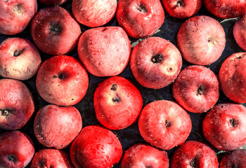 Vivid freshly picked red apples close up background with contrasting shadows