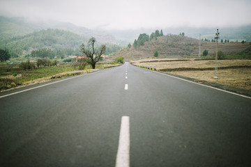 Road way