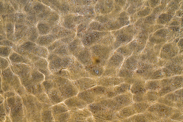 The beach of the Black Sea in the Crimea in the summer