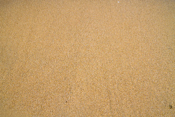 The beach of the Black Sea in the Crimea in the summer