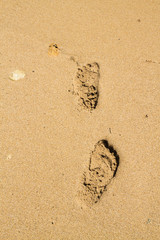 Footprints in the sand beach near the sea