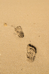 Footprints in the sand beach near the sea