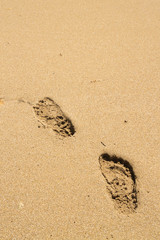 Footprints in the sand beach near the sea