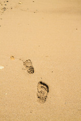 Footprints in the sand beach near the sea