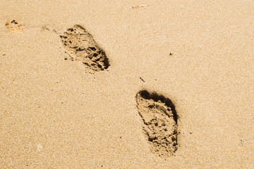 Footprints in the sand beach near the sea