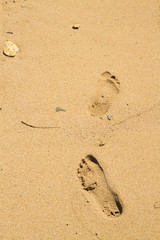 Fototapeta na wymiar Footprints in the sand beach near the sea