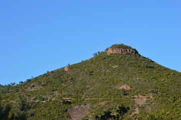 Bonnet du Capellan