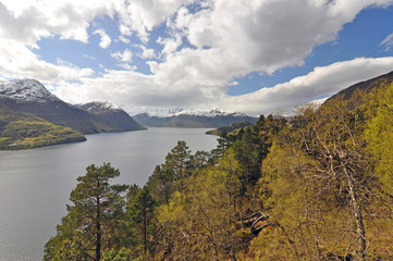 Fototapeta premium Norwegian nature / There are mountains plunging into the sea from hundreds of metres, fjords, tall mountain peaks, northern lights and midnight sun.
