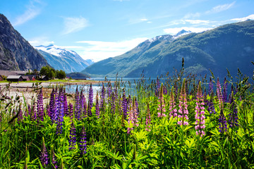 mountain landscape