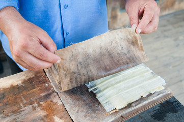 Artisan of the papyrus paper in Syracuse covering long thin strips obtained from the stem of the...
