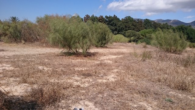 Cadiz naturaleza Tarifa