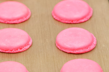 Cooking French Macarons