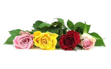 Naklejka premium Colorful roses on white background. 