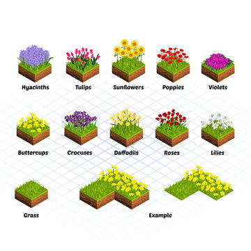 Set of Isometric Tiles Flowers Include Hyacinths, Tulips, Sunflowers, Poppies, Violets, Buttercups, Crocuses, Daffodils, Roses, Lilies, and Grass