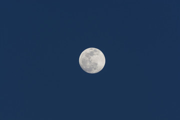 The Moon in Evening Twilight