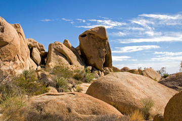 Joshua Tree National Park 
Rock Formation 