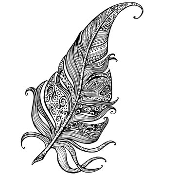 hand drawn line art of feather with ornaments