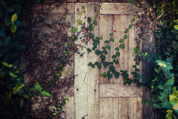 Pane wood pergola that is beautiful.