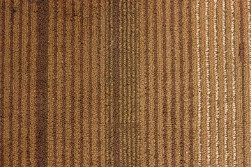 Carpeted surfaces, light brown