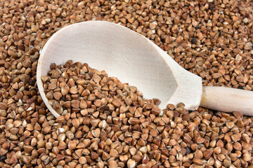 wooden spoon on dry buckwheat