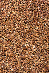 buckwheat background