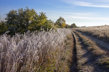 Полевая дорога с травой покрытой инеем. Россия,Сибирь,Новосибирская область,Колыванский район, побережье реки Чаус