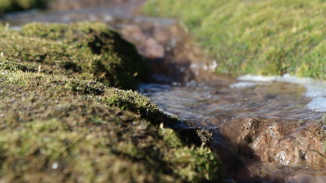 Pan of bubbling brook