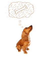 Cute dog with thought bubble thinking about a bone