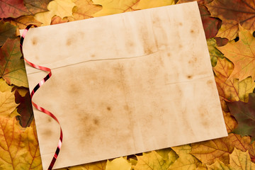 Old vintage blank sheet of paper on colorful maple leaves. Thanksgiving, autumn.