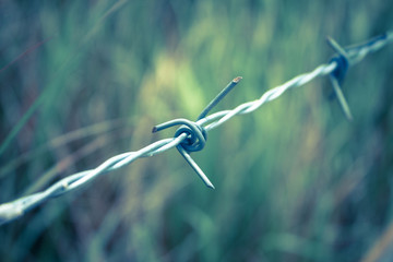 Barbed wire fence and green field closeup