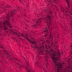 Wild hair in a close-up