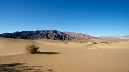 Fototapeta na wymiar Footprints in the Dunes