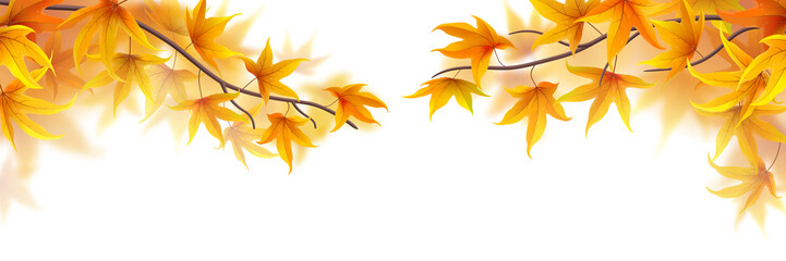 Fototapeta na wymiar Autumn branches with maple leaves on white background