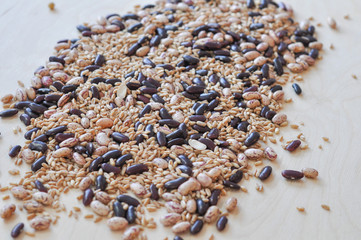 Beans and farro vegetables