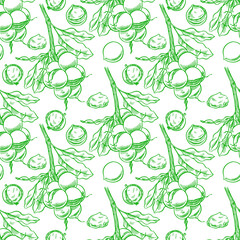 seamless green macadamia branches
